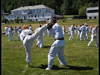 2018-06-29 431-border